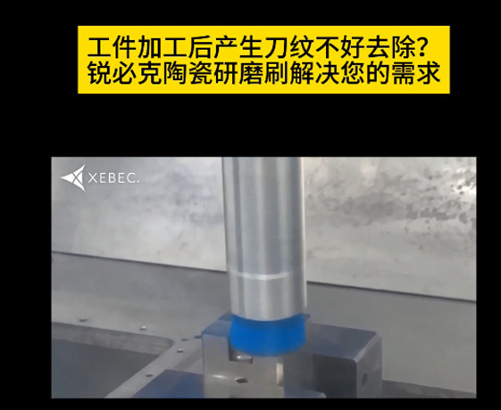 銳必克陶瓷研磨刷
