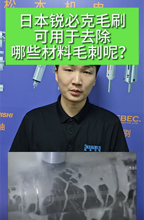 銳必克陶瓷研磨刷