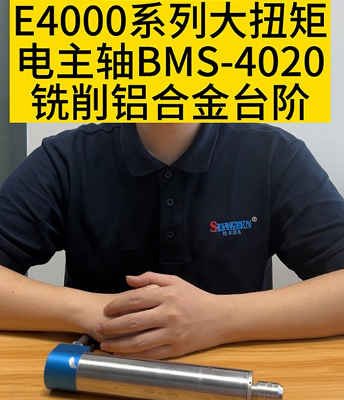 大扭矩電主軸