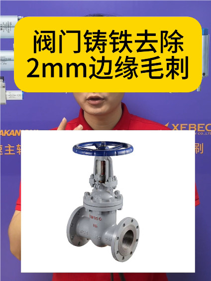 RBZ浮動(dòng)主軸