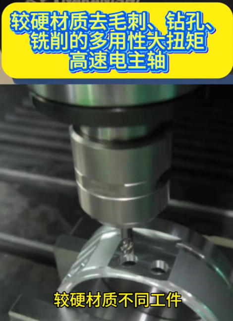 大扭矩高速電主軸