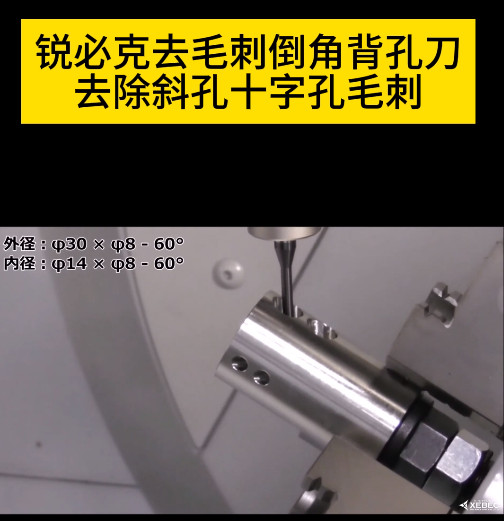 銳必克研磨刷