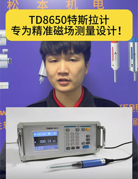 TD8650高斯計