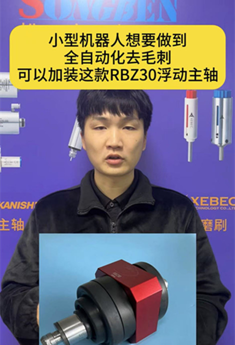 RBZ30浮動主軸
