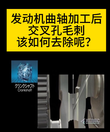 日本銳必克陶瓷研磨刷