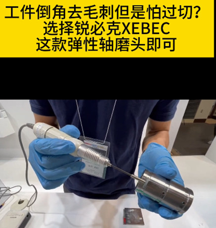 銳必克彈性研磨頭