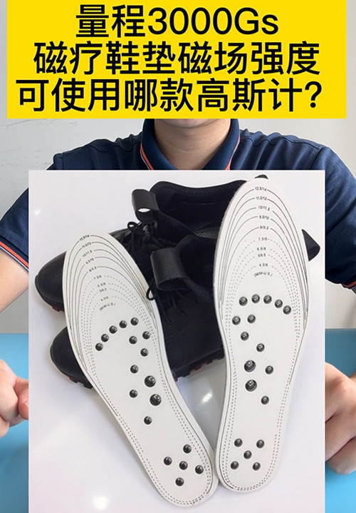 高斯計