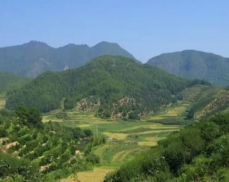 山地圖