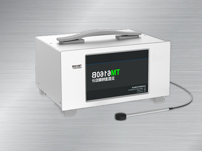 TM6160B交直流特斯拉計