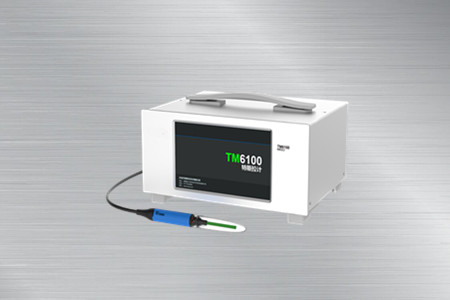 TM6100/TM6100B特斯拉計(jì)