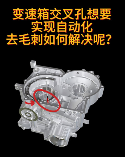 銳必克陶瓷研磨刷