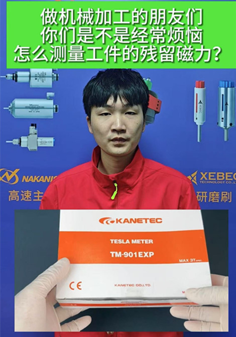 日本強力高斯計