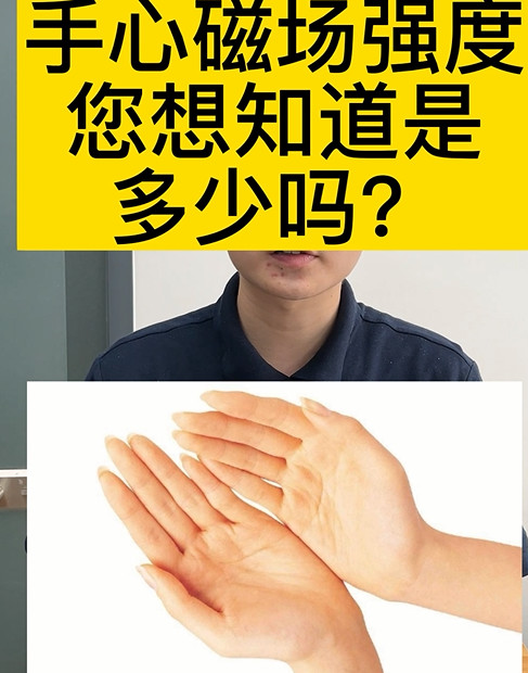 高斯計(jì)