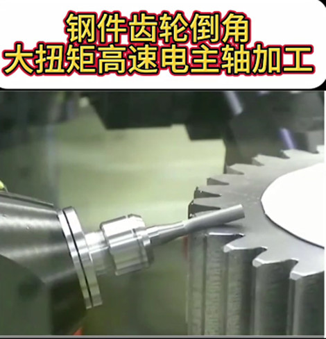 大扭矩高速電主軸