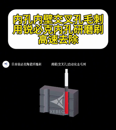 銳必克內(nèi)孔研磨刷