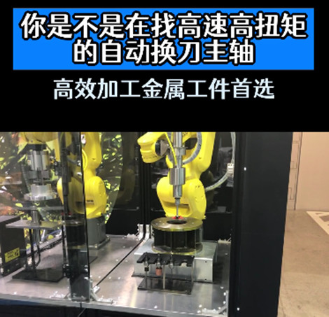 大扭矩高速電主軸