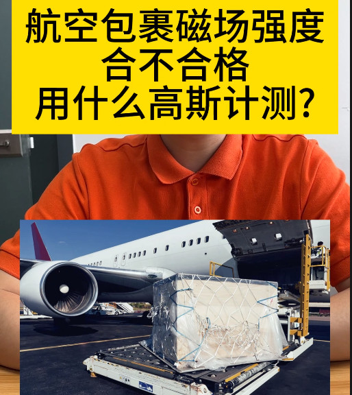 TM4100B磁強計